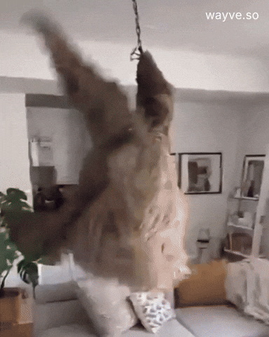 Mood Feels GIF by Darwin