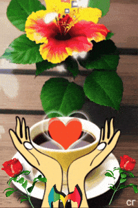 Tiene Para Ti GIF by Murcianys LLC