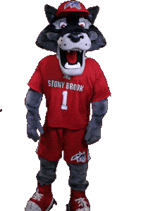 Stony Brook Sticker by Stony Brook University
