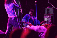 Excited Foxy Shazam GIF by wade.photo