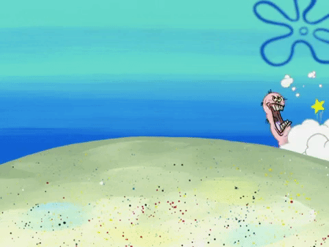 season 6 pet or pets GIF by SpongeBob SquarePants