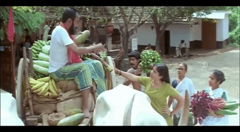 quintas_25 giphyupload GIF