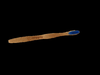 Natuboo dancing eco friendly bamboo toothbrush GIF