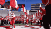 Wisconsin Badgers GIF by uwmadison