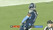 Tennessee Titans Football GIF by NFL