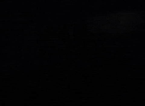 Walt Disney GIF