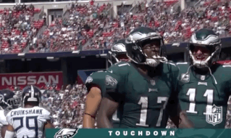 philadelphia eagles football GIF by NFL