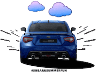 summer car Sticker by SubaruItalia