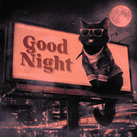 Cats Night GIF by Gallery.fm
