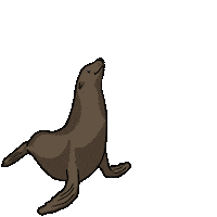 Marine Life Sticker by VisitMorroBayCA