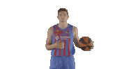 Fc Barcelona Basketball Sticker by ACB