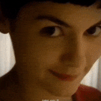 Funny Meme GIF