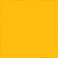 Happy Birthday Fun GIF