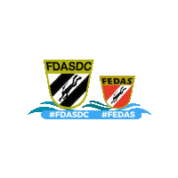 Buceo Sticker by FEDAS