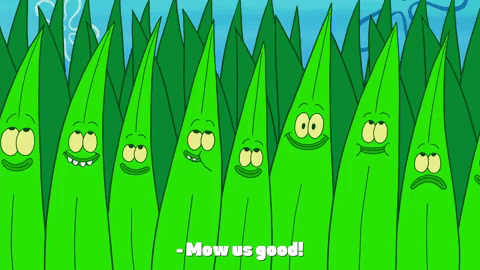 episode 7 plankton retires GIF by SpongeBob SquarePants