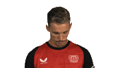 Look Up Bayer Leverkusen Sticker by Bundesliga
