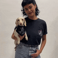 Wiener Dog GIF by beangoods
