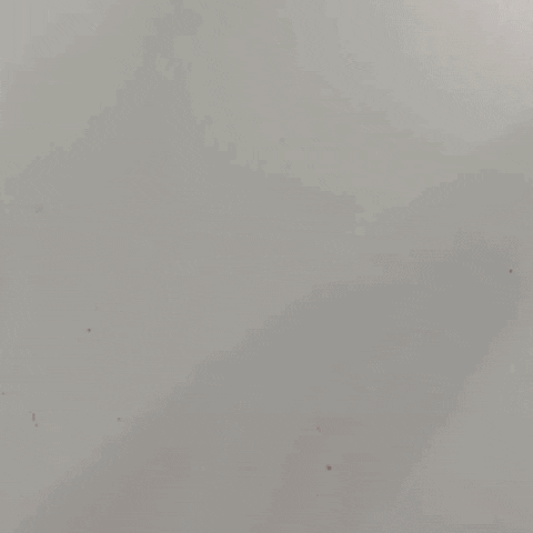 alicejsowa giphyupload GIF
