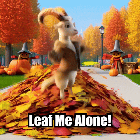 Fall Autumn GIF by Radiantelope