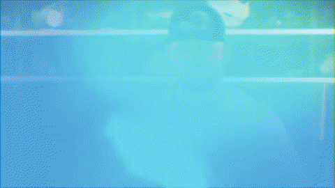 baseball wave GIF by GreenWave