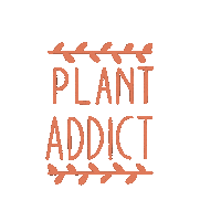 Plante Plant Addict Sticker