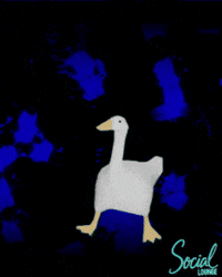 Grey Goose Vodka Party GIF by Social Lounge