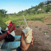 Ice Cream Cake Jamaica GIF