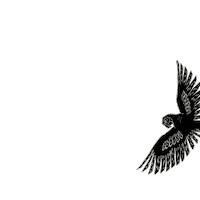 Arara Sticker by Livre e Leve