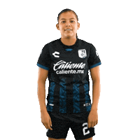 Siempre Gallos Sticker by Club Querétaro