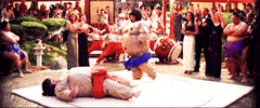 bill murray sumo GIF