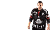 Ice Hockey Goal Sticker by Boxers de Bordeaux