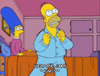 homer simpson GIF