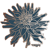 Flower Dahlia Sticker