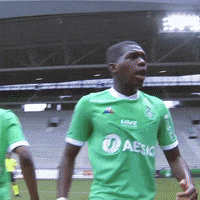 Football Rage GIF by AS Saint-Étienne