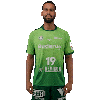 Handball Sticker by DAIKIN HBL