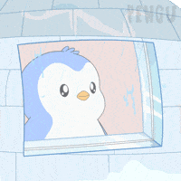 Look Looking GIF by Pudgy Penguins