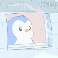Look Looking GIF by Pudgy Penguins