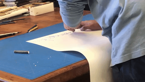 reinak giphyupload GIF