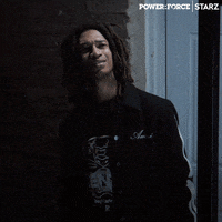 Family Ghost GIF by Power Book IV: Force