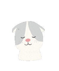 ppiarmit love cat heart mia Sticker