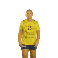 Rema1000Ligaen Sticker by Norsk Topphåndball
