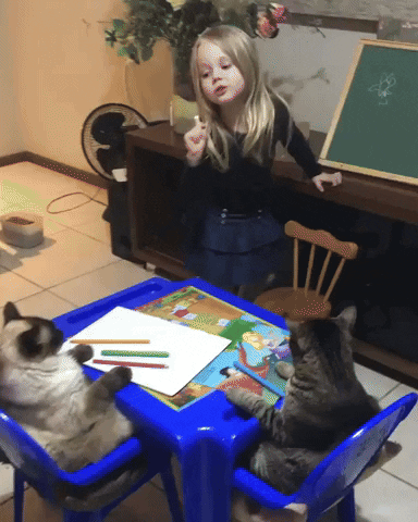 cuteanimalland giphyupload GIF