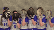 Softball GIF by CUWFalcons