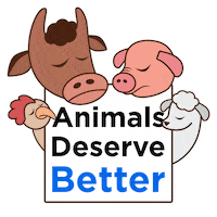 Chicken Pig Sticker by Mercy For Animals