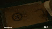 usa network television GIF by Pearson