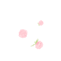 Roses Sticker by Pura Vida Miami