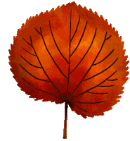 Fall Season Falling Sticker
