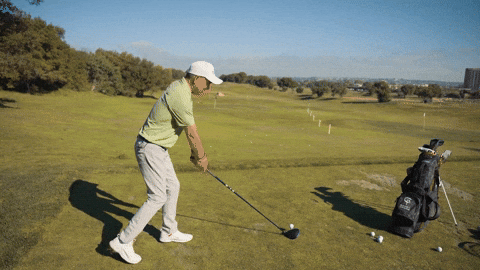 SCPGA giphyupload GIF