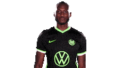 Social Media Sticker Sticker by VfL Wolfsburg