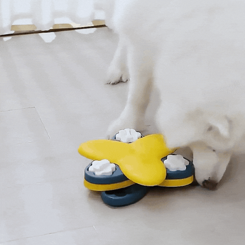 giphyupload GIF